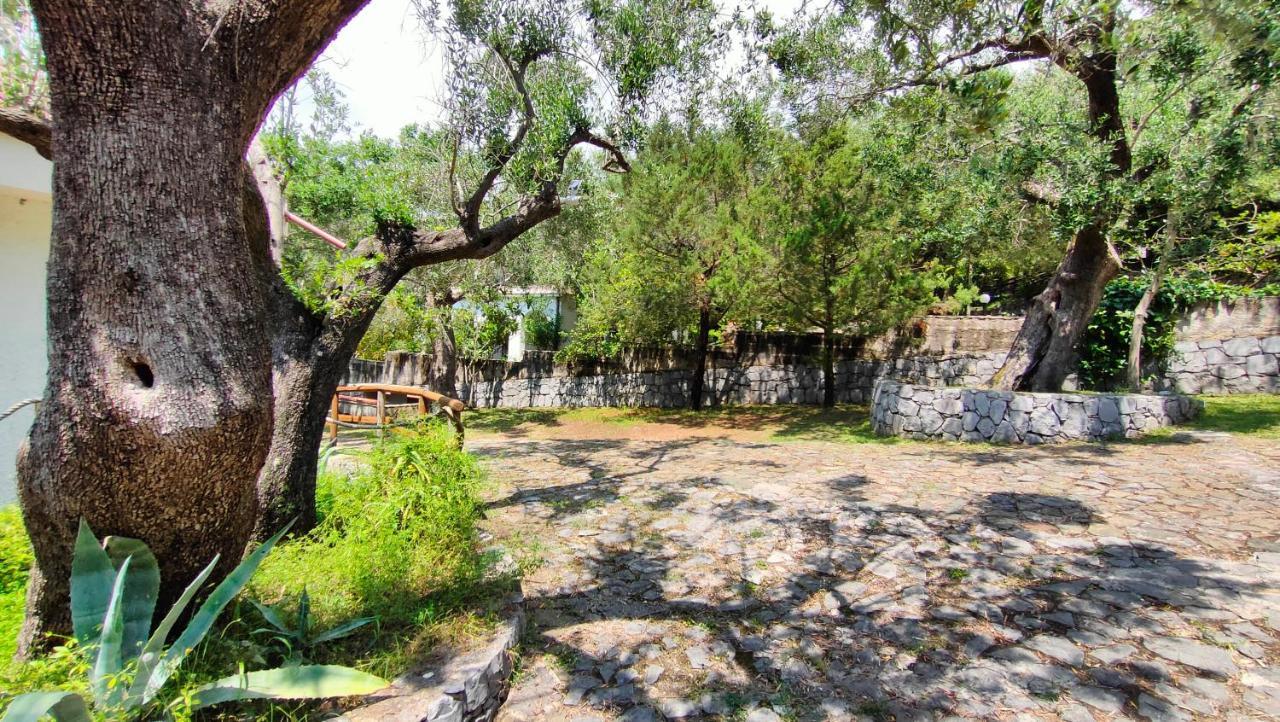 Villa Irma มารีนาดีกาเมโรตา ภายนอก รูปภาพ