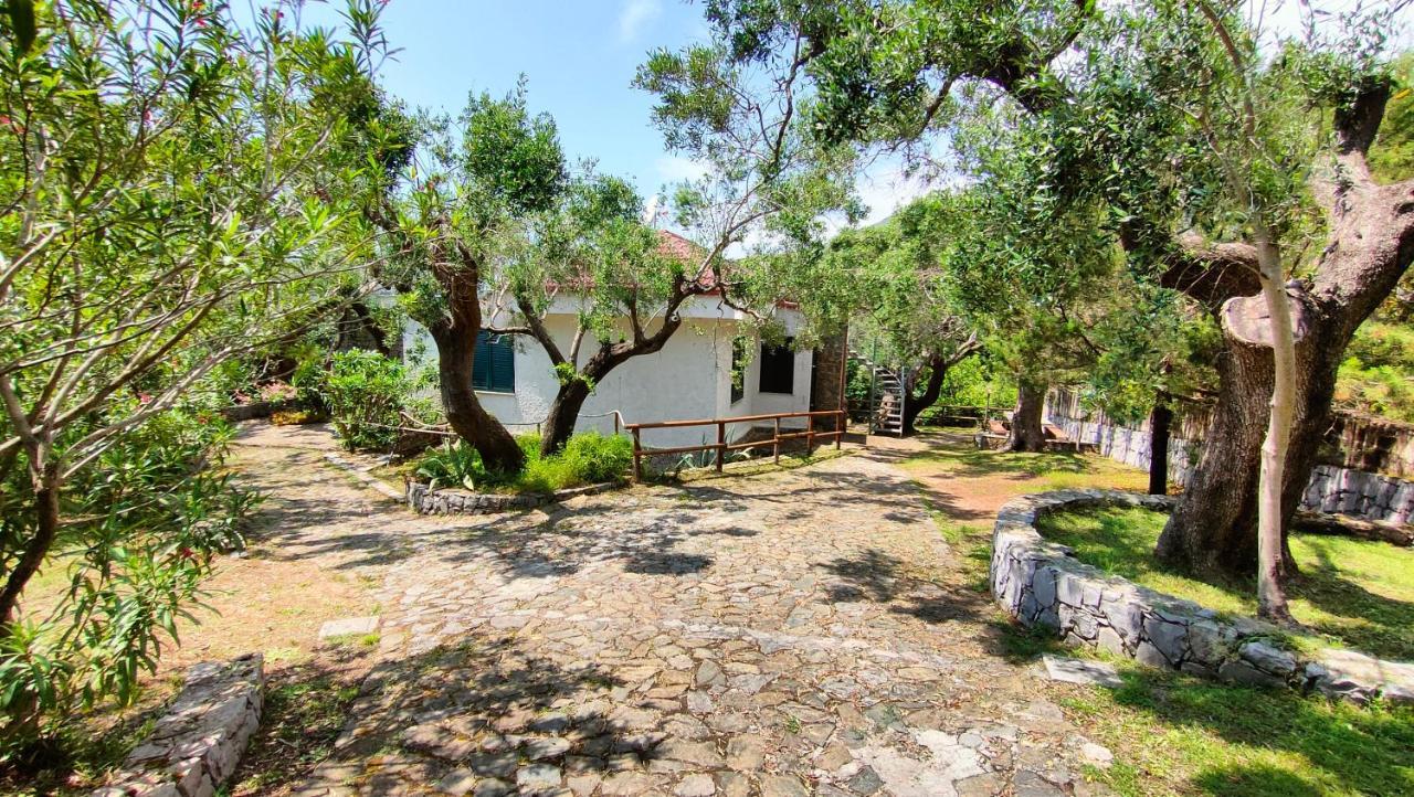 Villa Irma มารีนาดีกาเมโรตา ภายนอก รูปภาพ