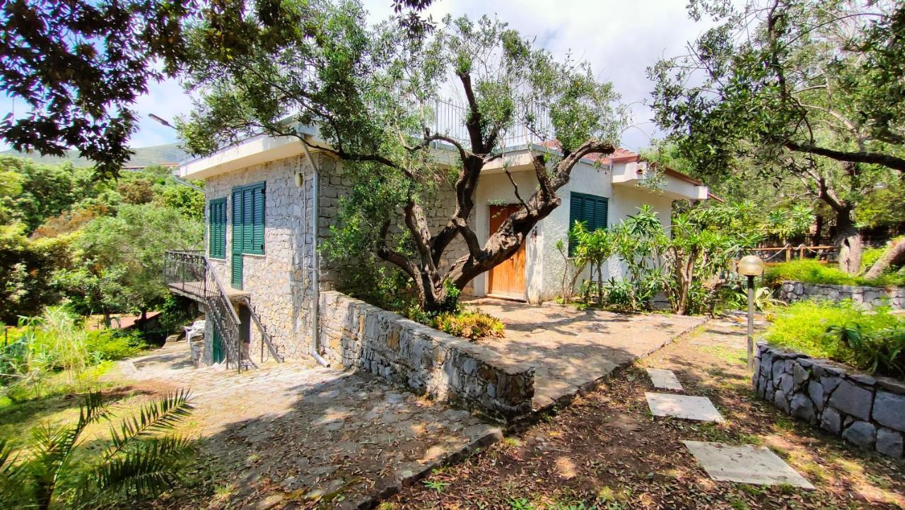 Villa Irma มารีนาดีกาเมโรตา ภายนอก รูปภาพ