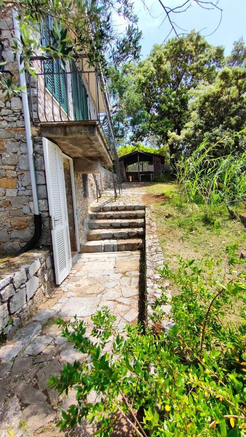 Villa Irma มารีนาดีกาเมโรตา ภายนอก รูปภาพ