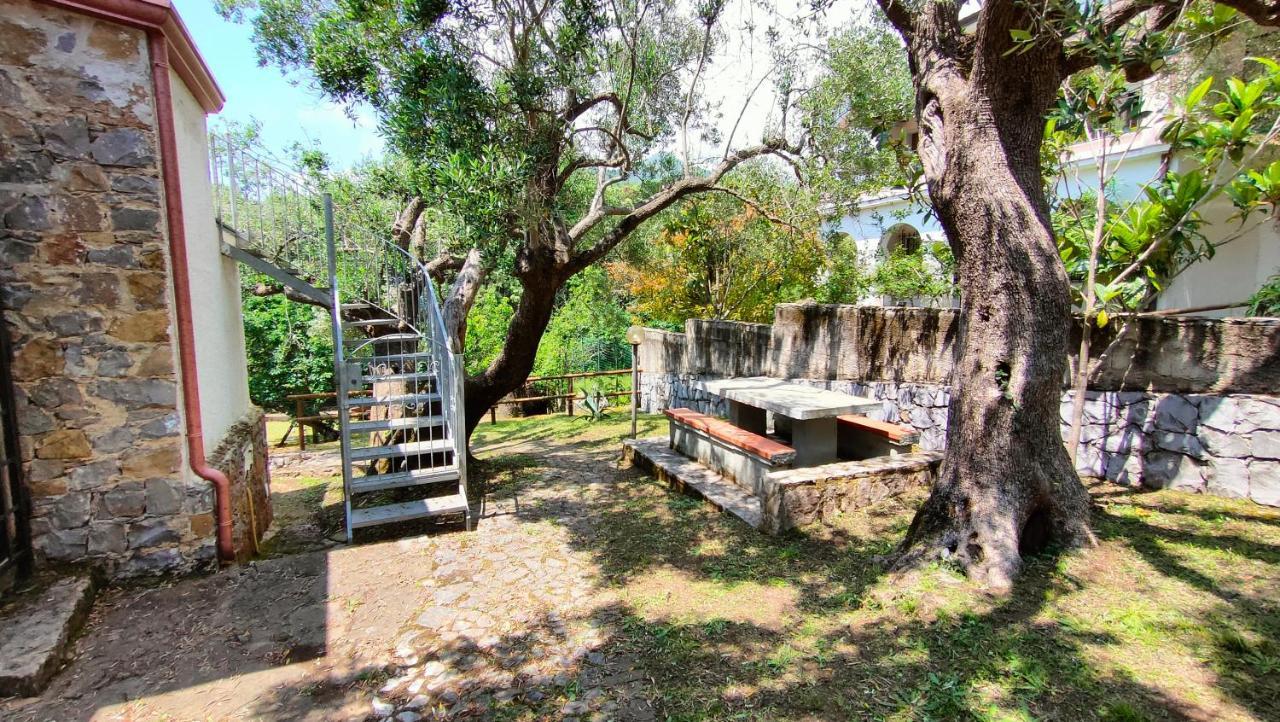 Villa Irma มารีนาดีกาเมโรตา ภายนอก รูปภาพ