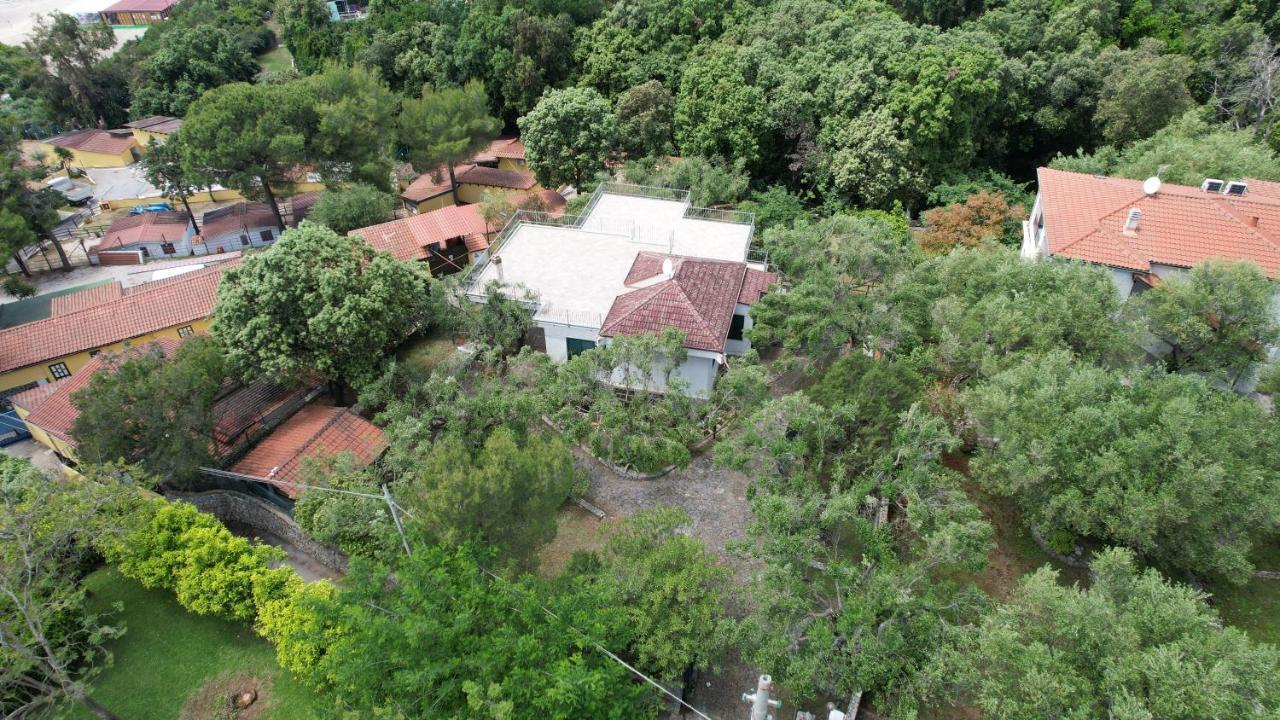 Villa Irma มารีนาดีกาเมโรตา ภายนอก รูปภาพ